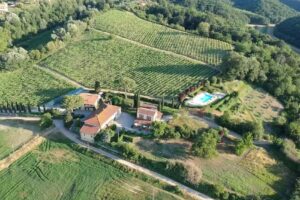 Azienda Agricola Buon Riposo Srl