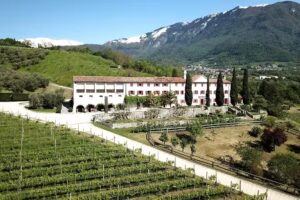 Azienda Agricola Casa Vacanze Villa Salvador