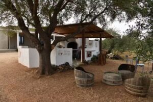 Azienda agricola Donnalina