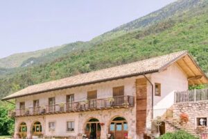 Azienda Agricola Dosila