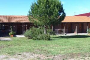 Azienda Agricola e Agriturismo Cerretale