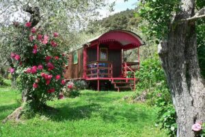 Azienda Agricola e Agriturismo Della Mezzaluna