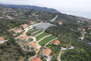 Azienda Agricola e Agriturismo il Colle degli Ulivi