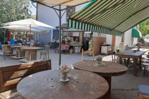 Azienda Agricola e Agriturismo Verde Più