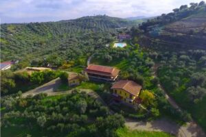 Azienda Agricola e Agriturismo Vulcano – Mirto Crosia – Calabria