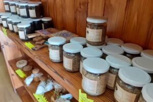 Azienda Agricola “Emy Tartufi”