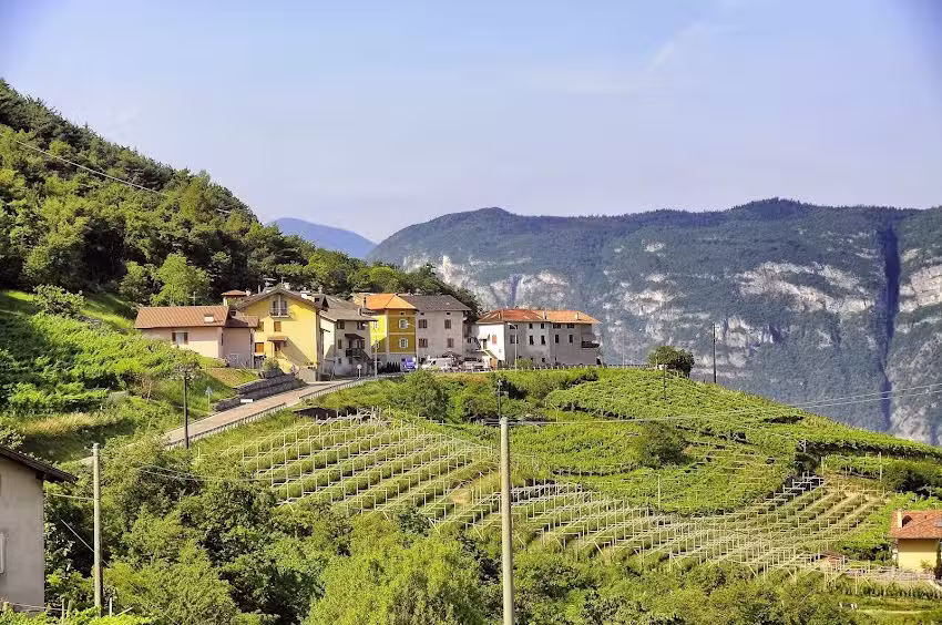 Azienda Agricola Eredi di Cobelli Aldo