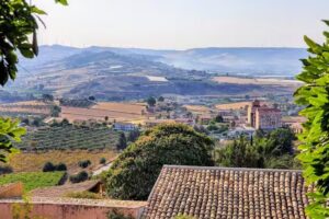 Azienda Agricola Fattoria Mose di Agnello Chiara e C.