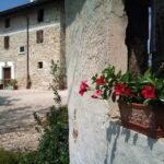 Azienda Agricola Grinovero