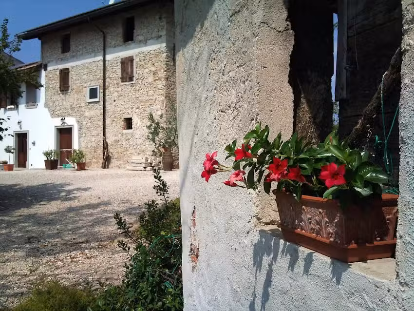 Azienda Agricola Grinovero