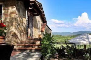 Azienda Agricola Il Termine