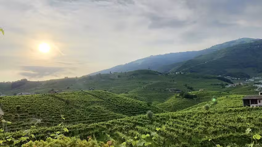 Azienda Agricola La Casa Vecchia