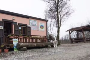 Azienda Agricola La Casaccia Bologna