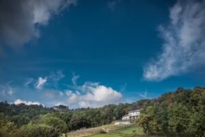 azienda agricola La Collina di Laura Bartolomeo