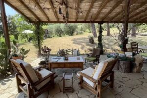 Azienda Agricola La Madonnina-Fattoria Didattica-Bed&Breakfast