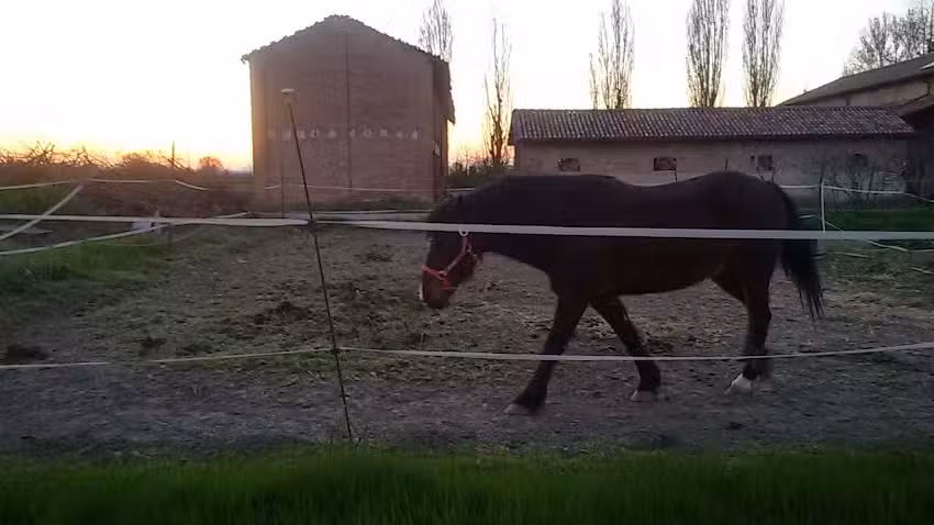 Azienda Agricola La Mirabella