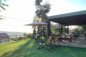 Azienda agricola “La Roccia” di Martini Massimiliano