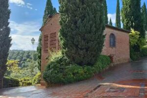 Azienda Agricola La Valle Di Bigazzi Roberto & C. S.N.C.