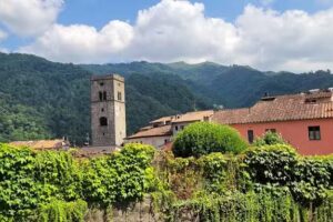 Azienda Agricola Macea