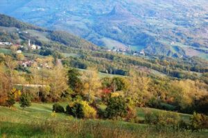 Azienda Agricola Marenghi Marino