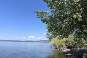 Azienda Agricola Melona