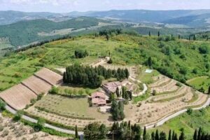 Azienda Agricola Montefili