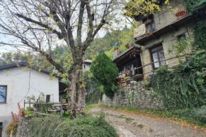 Azienda Agricola Oranami