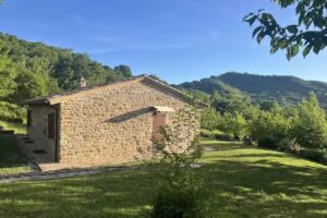 Azienda agricola Paradiso 44