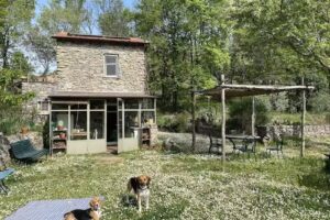 Azienda Agricola Pian della Chiesa