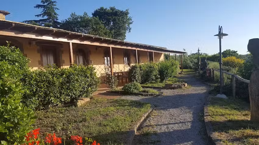 Azienda Agricola Poggio Pistolese Di Cabras Paola – PRODUZIONE e VENDITA vino Chianti DOCG – OLIO IGP – VINO IGT Montaione