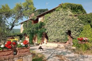 Azienda Agricola Rendola Riding