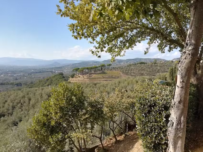 AZIENDA AGRICOLA SOMMAVILLA di ROSSELLI GABRIELE