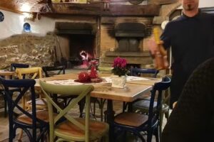 Azienda agricola Terrapeutica