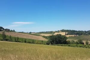 Azienda Agricola Tre Monti S. Anna