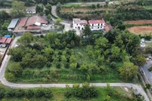 Azienda Agricola Zootecnica Soriente Di Soriente Guglielmo Areh & C. Sas