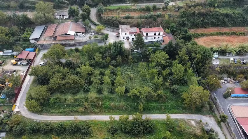 Azienda Agricola Zootecnica Soriente Di Soriente Guglielmo Areh & C. Sas