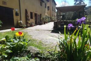 Azienda Agrituristica A Casa Del Tosi