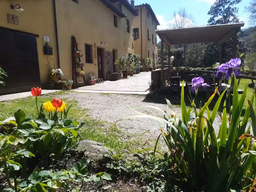 Azienda Agrituristica A Casa Del Tosi