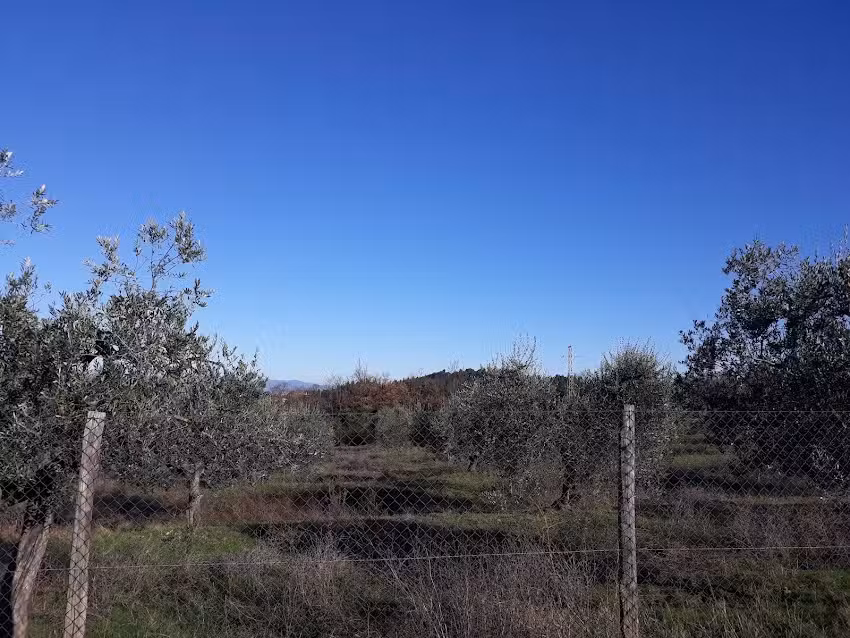 Azienda Agrituristica Bellavista