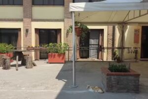 Azienda Agrituristica Corte Valle San Martino