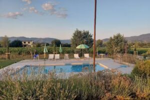 Azienda Agrituristica il Bel Laghetto