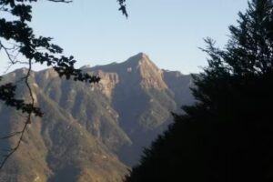 Azienda agrituristica La Castellaccia