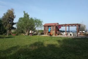 Azienda Agrituristica Torre Scifo