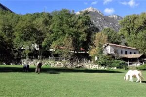 Azienda Agrituristica “Valle del Rio” di Tuzi Fabio