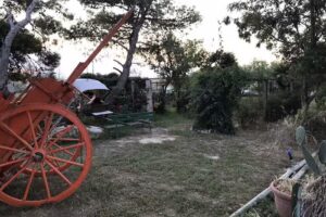 Azienda Agroturistica Fazzolari Leopoldo