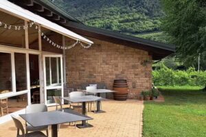 Azienda vitivinicola Alessandro Secchi