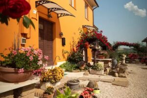 B&B Aesis La Dolce Collina