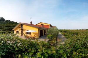 B&B Agrialpi