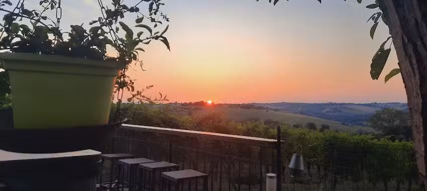 B&B Al Chicco d’Uva