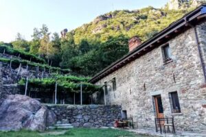 B&B Al Vecchio Torchio